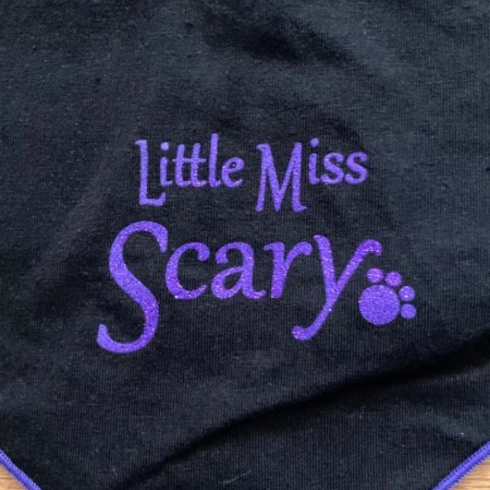 I See Spot Halloween Pet Bandana - Picture 2 of 6